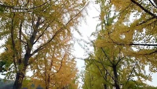 [UHD 다큐 풍경] 여유와 풍요로 마음을 물들이는 계절…가을 특집