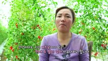 [하모니] 농부 유나 씨의 고군분투기 - 1부