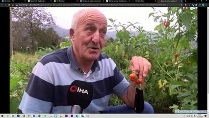 Patlıcan tohumu ekti, büyüyünce şoke oldu