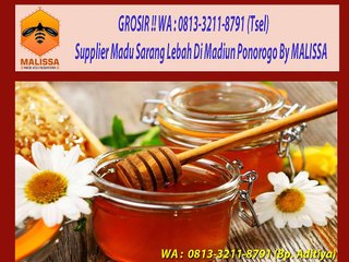 GROSIR !! WA : 0813-3211-8791 (Tsel)	Grosir Madu Hutan Liar Di Madiun Ponorogo By MALISSA,