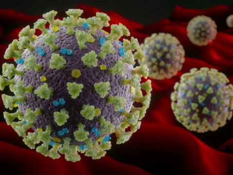Neue Studie: Coronavirus überlebt auf Oberflächen bis zu 28 Tage