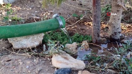 Hatay’da çıkan yangınlara Şehit Aileleri Derneği’nden ‘fidanlı’ tepki
