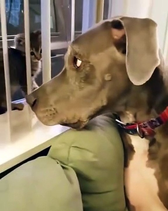 and now what he wants