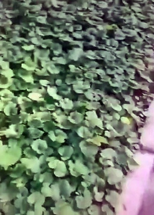 it's not what you think