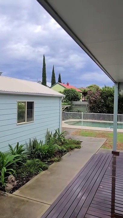 this pigeon has a happier life than yours