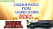 English words from Arabic origins | Arabic origin for Sofa | Shorts