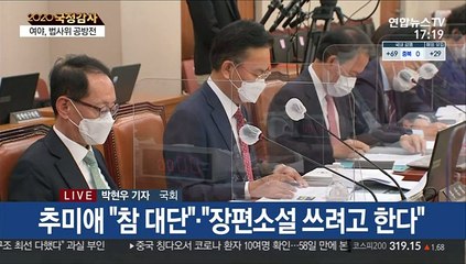 "秋 방탄국감" vs "장편소설"…법사위 공방전