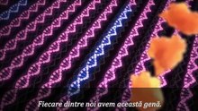 Gene Dinamice - Comorile din ADN ul nostru