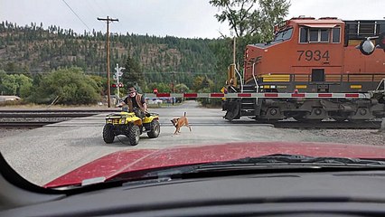 Un homme en quad qui promène son chien passe devant un train