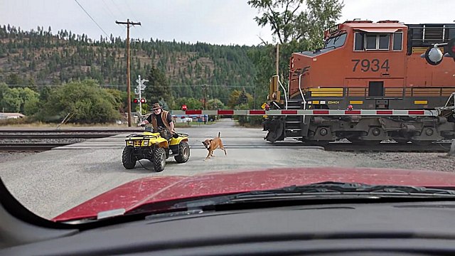 Un homme en quad qui promène son chien passe devant un train