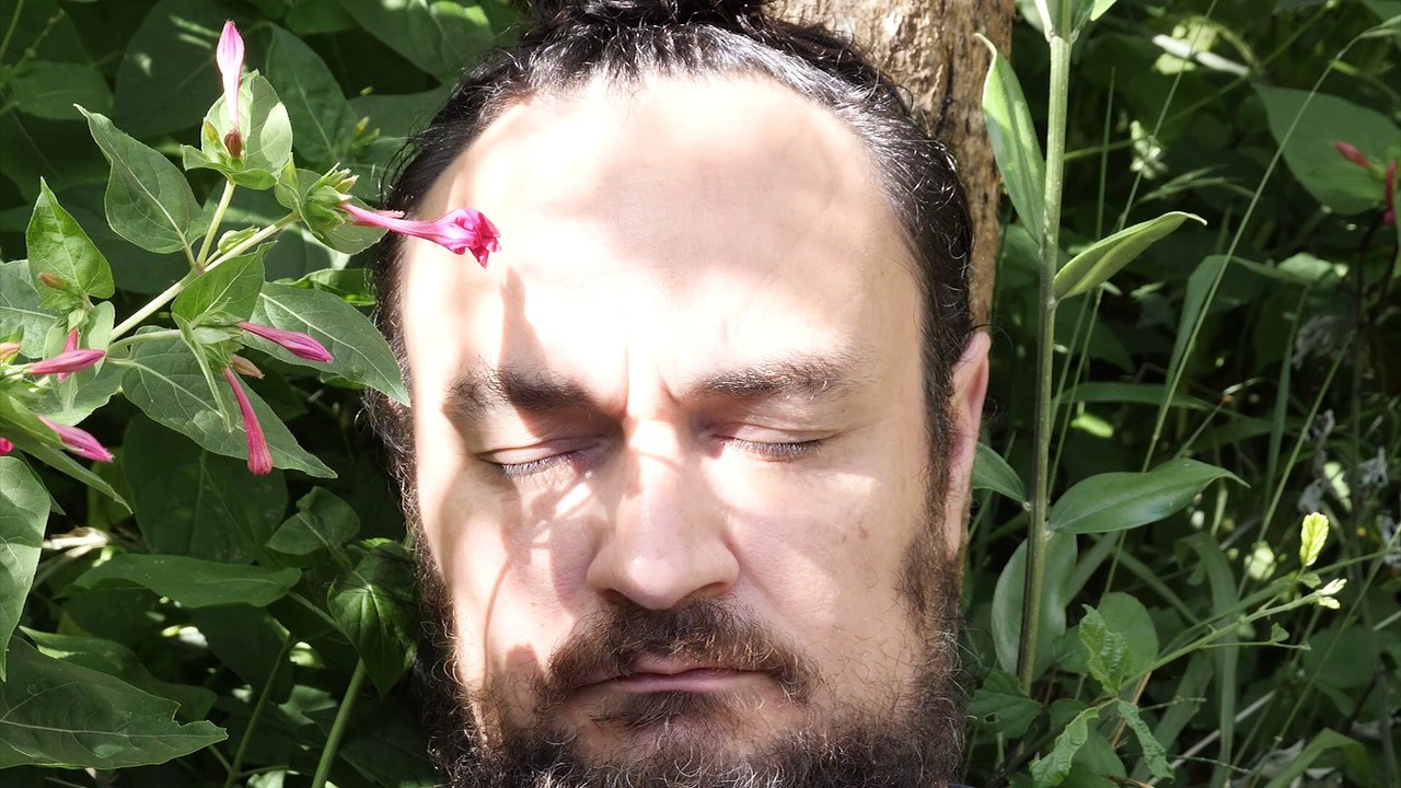 le rêve du pavillon rouge