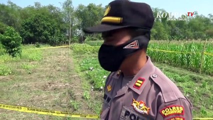 Miris, Satu Keluarga di Bojonegoro Tewas Tersengat Listrik di Kebun Cabai