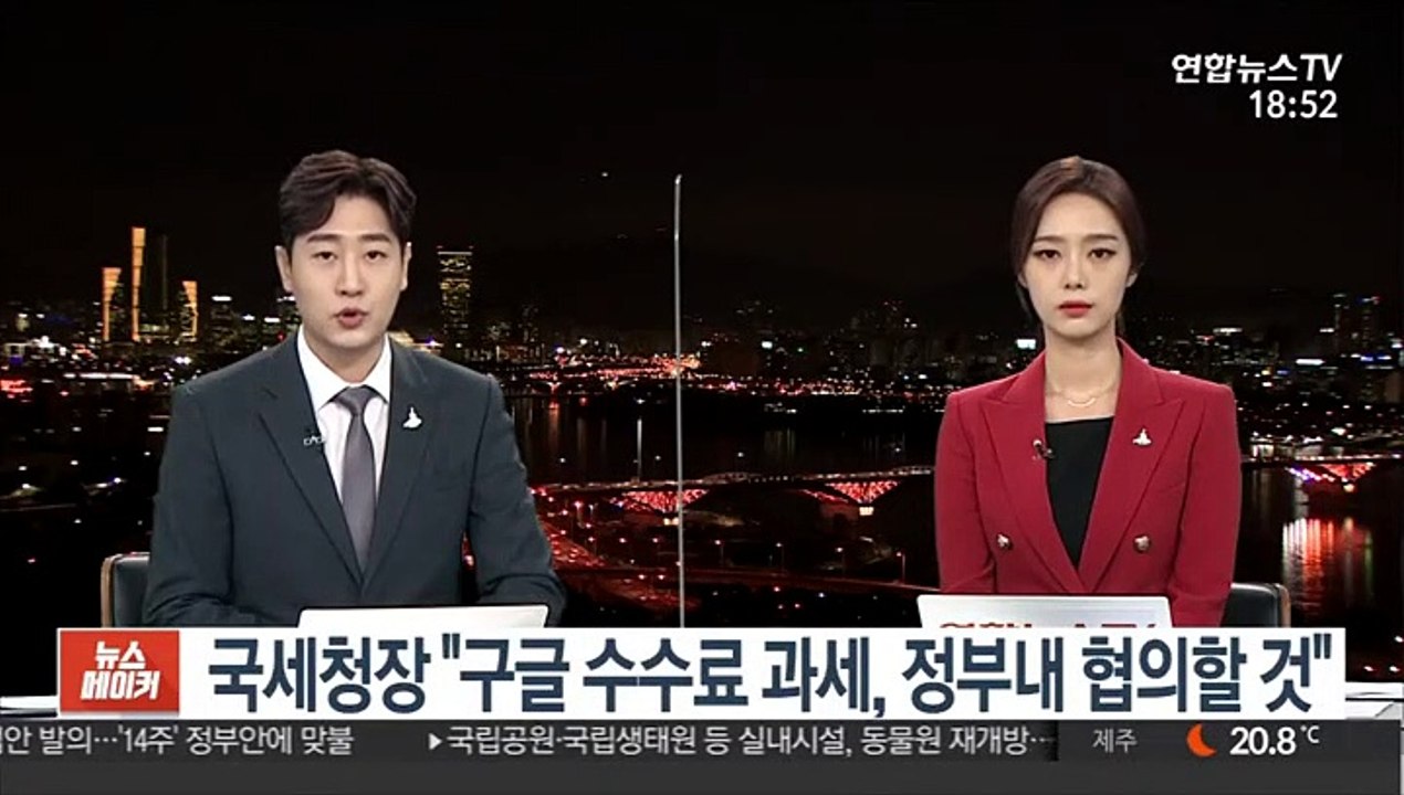 국세청장 "구글 수수료 과세, 정부내 협의할 것"
