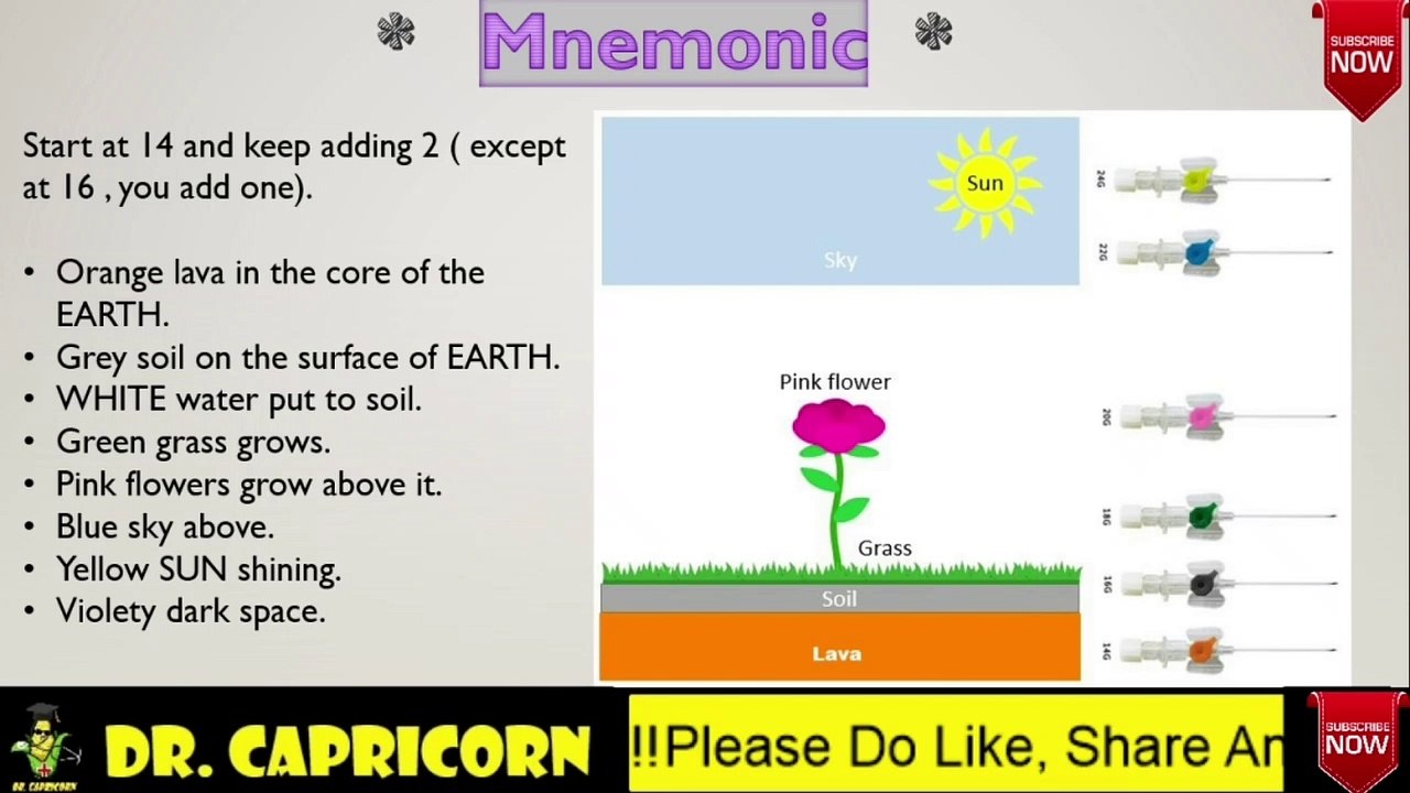 IV Cannula : size and color trick | uses | mnemonic | INICET | FMGE | NEETPG | USMLE