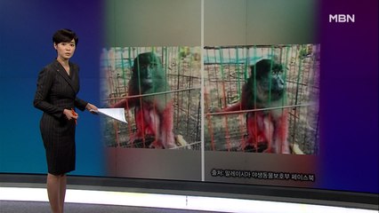 김주하의 10월 12일 '이 한 장의 사진'