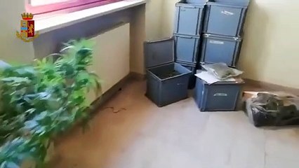 Torino - Droga nella movida, presa la banda dei soci (12.10.20)