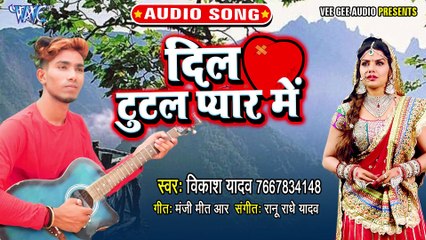 Dil Tutal Pyar Me - Dil Tutal Pyar Me-Vikash Yadav