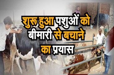 शुरू हुआ पशुओं को बीमारी से बचाने का प्रयास