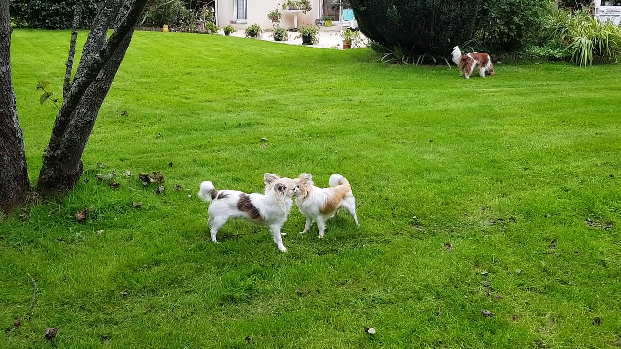 Heureux de jouer au jardin