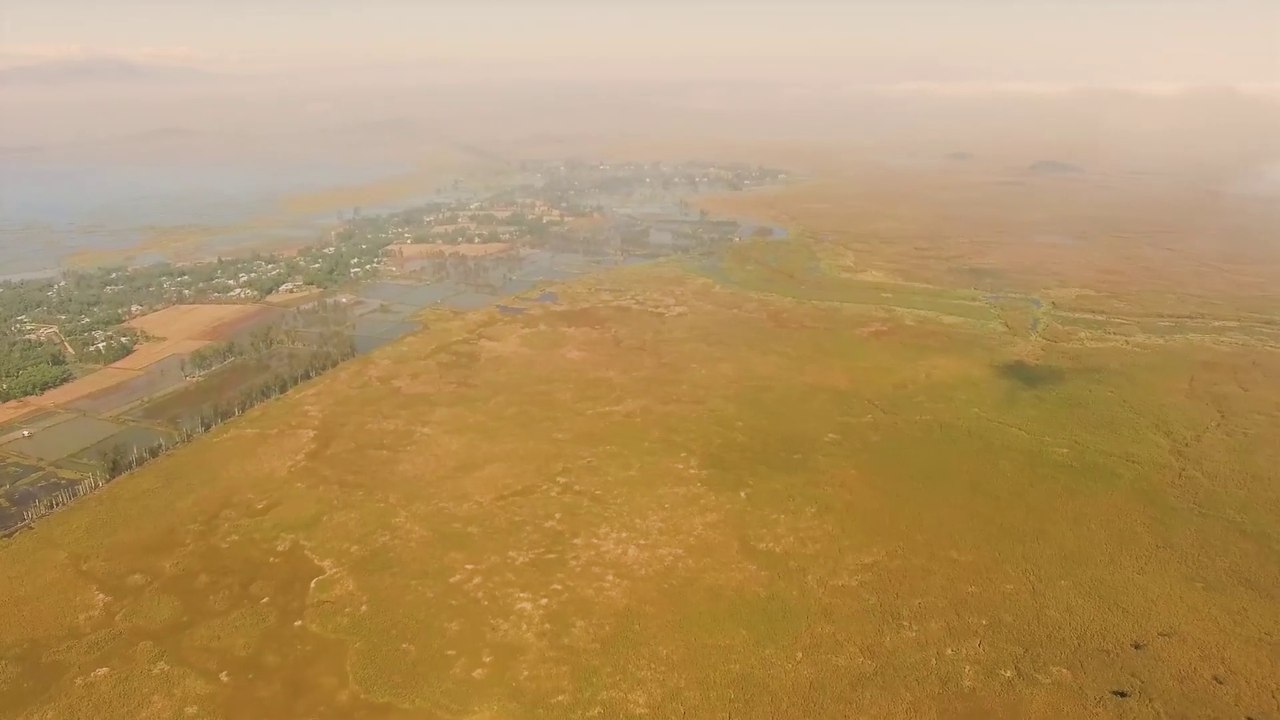 Sangai @ Keibul Lamjao National Park. Official Documentary of the only Floating National Park.