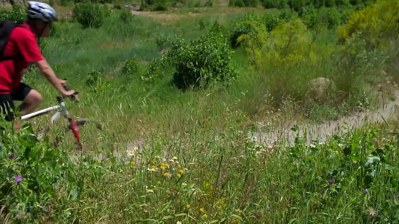 Mountain Bikers During Daytime