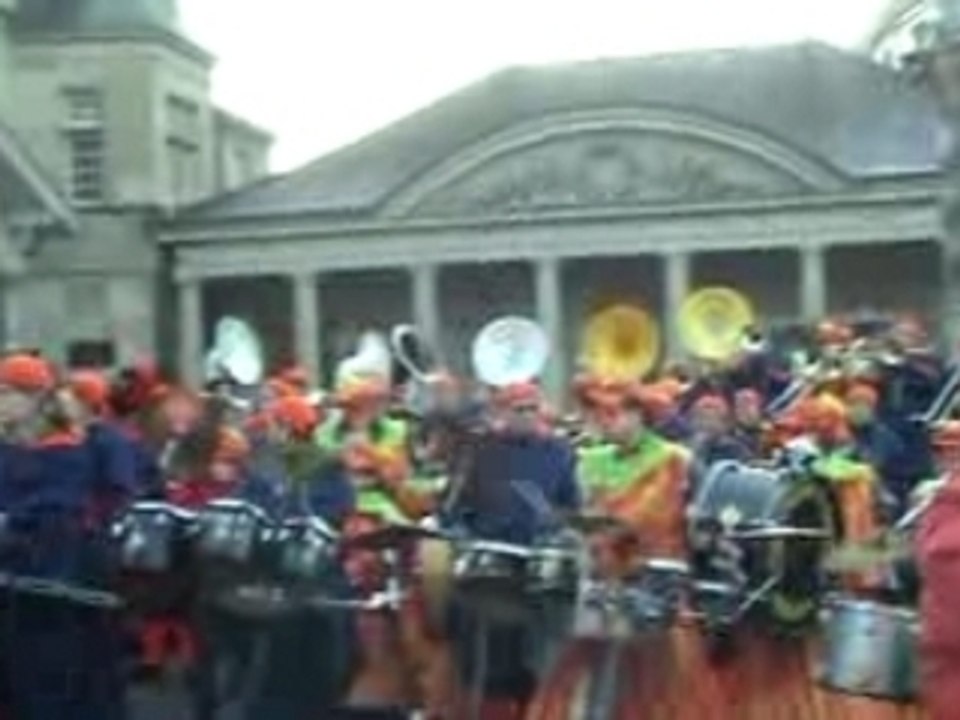 Canetons et les 3 canards, Hôtel de Ville Fribourg