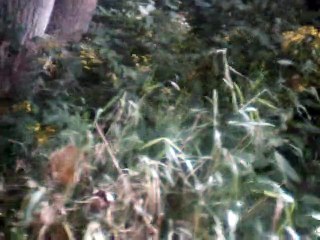 Que le jour me dure (days are lonely) vocals