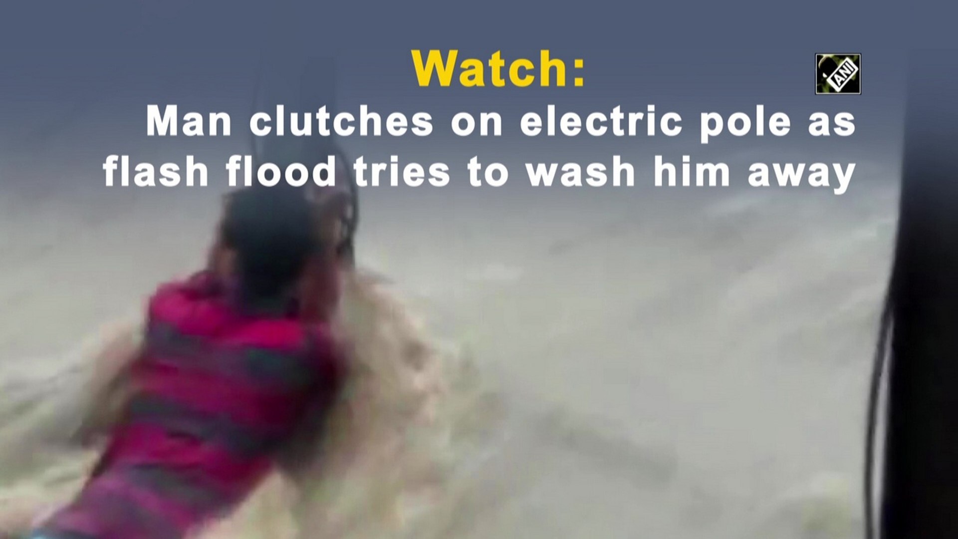 Man clutches on electric pole as flash flood tries to wash him away in  Belagavi