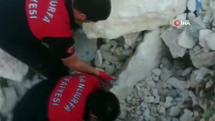 Şanlıurfa’da çöken toprak ve kaya yığınının altında kalan yavru köpek kurtarıldı