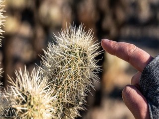 7 worst types of people in Arizona - ABC15 Digital