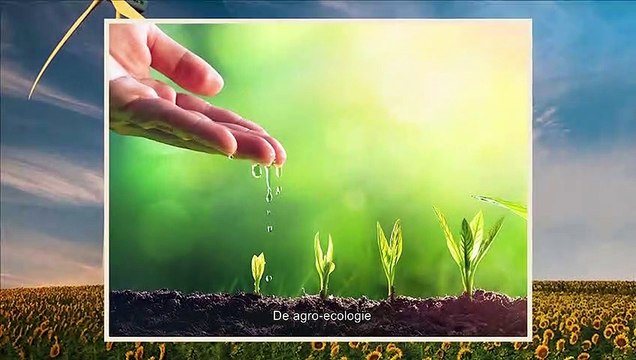 Le commerce équitable, levier de la transition écologique et sociale au Nord comme au Sud