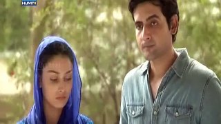 Pakistani Best Drama Serial Zard Mausam Episode 12 On Hum Tv