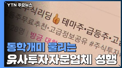 동학개미 울리는 '유사투자자문'...피해 신고 4년 새 15배 급증 / YTN