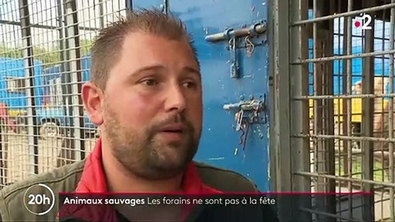 Cirques : ils s'insurgent contre l'interdiction des animaux sauvages dans les spectacles