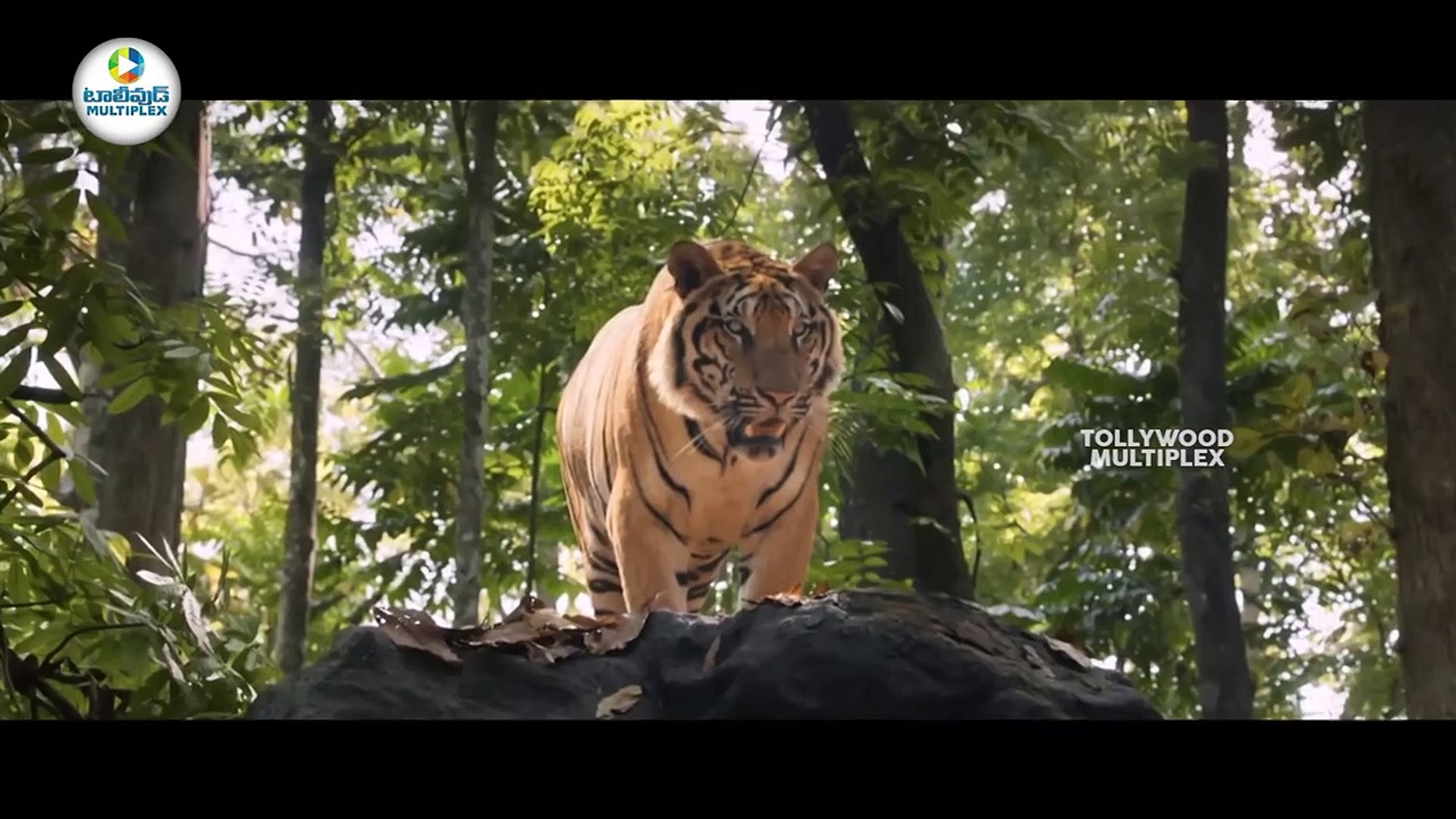 Mohanlal Best Tiger Action Scene Namitha Kamalinee Mukherjee Lal Tollywood Multiplex