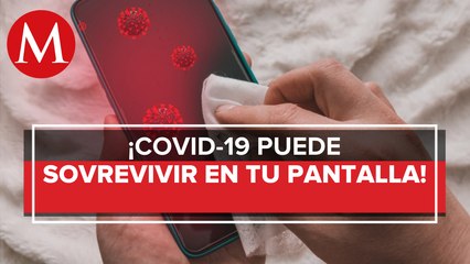 Coronavirus puede sobrevivir en pantallas de celular casi un mes