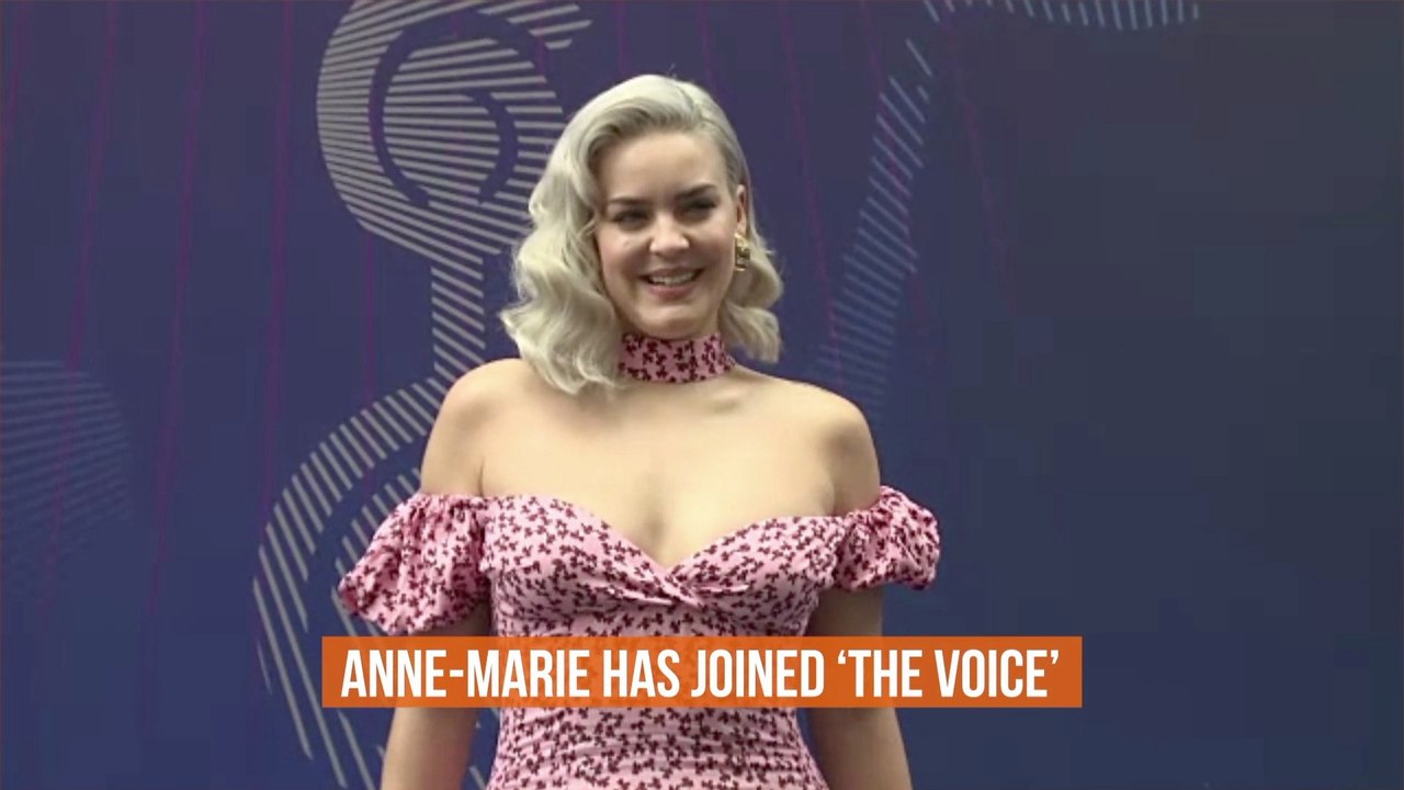 Anne-Marie's New Gig