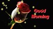 #Romantic Good morning With Red flowers 3D video,Good morning wishes & greeting Whatsapp and dailymotion video