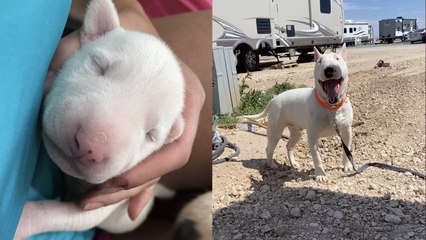 People are Taking to Social Media to Show Off Their "Glow-Ups"