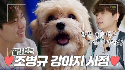 ❤️귀여움주의❤️ 조병규 댕댕이 '조엘'을 소개합니다 [1인칭시점]