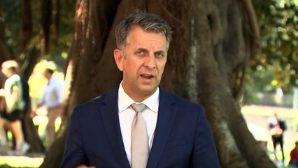 Liberal colleagues defend Berejiklian