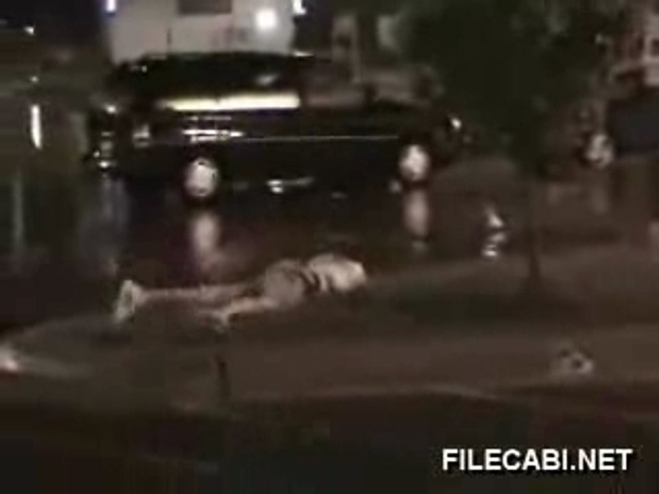 Régis et le panneau stop la belle gamelle