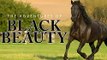 The Adventures of Black Beauty - Opening and Closing Theme 1972 - 1974