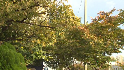 [날씨] 퇴근길 찬 바람에 기온 '뚝'...큰 일교차 주의 / YTN