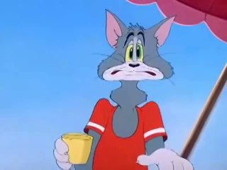 Tom And Jerry Salt Water Tabby