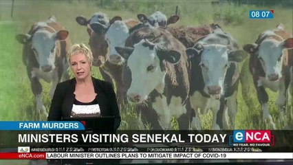 SAPS allegedly involved in stock theft