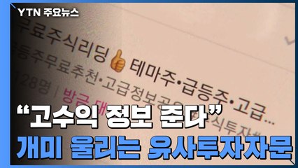 동학개미 울리는 '유사투자자문'...피해 신고 4년 새 15배 급증 / YTN