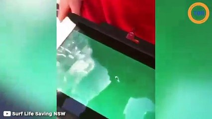 Ce pilote de drone a sauvé un surfeur en proie avec un requin !