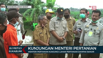 Menteri Pertanian Kunjungi Lahan Pertanian Dampak Banjir