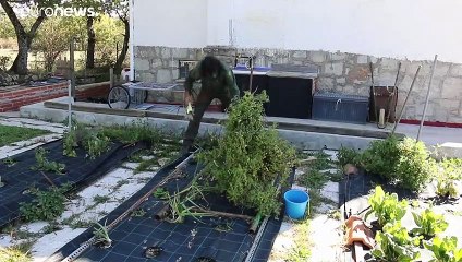 Regiões a norte de Madrid escapam à pandemia